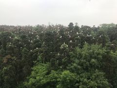 -象山森林公园