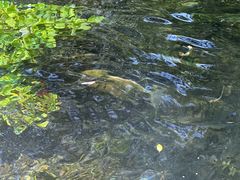 -水磨沟公园