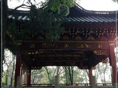 -汇龙潭