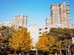 -辽宁大学(崇山校区)