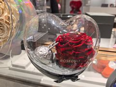 -ROSEONLY诺誓(磐基中心店)