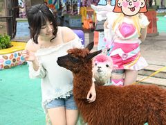 -灵玲国际马戏城