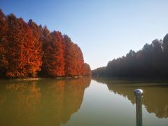 -上海海湾国家森林公园