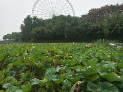 -蠡湖大桥公园