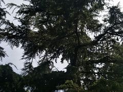 -团结湖公园