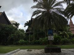 -三亚湾红树林度假世界(木棉酒店)