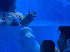 -多彩贵州城极地海洋世界