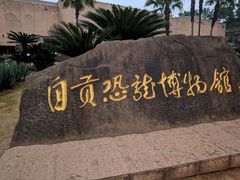 -自贡恐龙博物馆