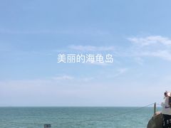 -广东惠东海龟国家级自然保护区
