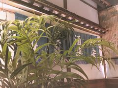 -枚青·临安酒肆(腾飞大厦店)