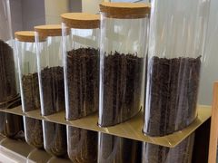 -雾与山茶(大禹城店)