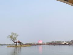 -荷花大观园
