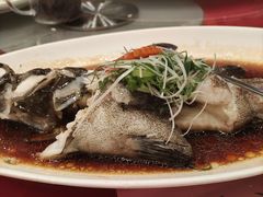 清蒸东星斑鱼-御彩酒家(东风东路店)