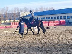 -北京群众马术培训基地