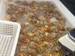 -王四营海鲜市场