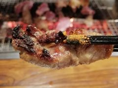 -柿子树炭烤羊腿(金台路店)