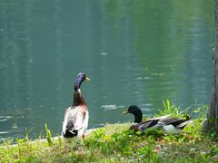 -仟吉·ART FARM主题店(菱角湖万达店)