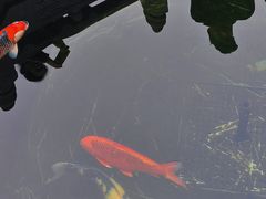 -西安市广仁寺