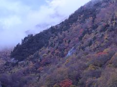 -叠溪松坪沟景区