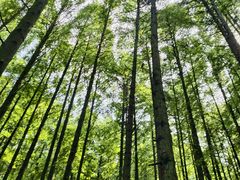 -山王坪喀斯特国家生态公园