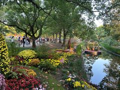 -上海共青森林公园