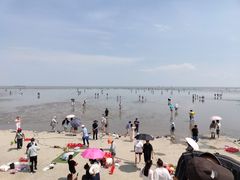 -奉贤海滩
