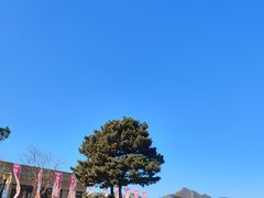 -蓟洲国际滑雪场