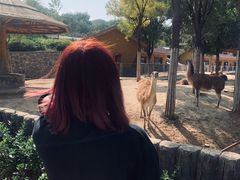 -石家庄市动物园