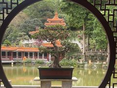 -深圳仙湖植物园