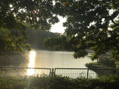 -中山市树木园