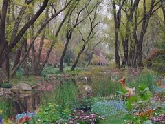 -上海共青森林公园