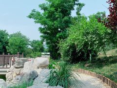 -绿岛公园(滨海新区)