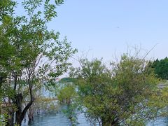 -贡湖湾湿地公园