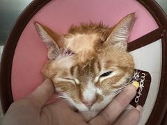 -贝利宠物医院·骨科·眼科·肿瘤转诊中心(南坪诊疗中心)