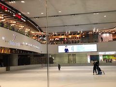 -TheRink大零溜冰场(IFS国金中心店)
