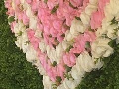 -太平禅寺