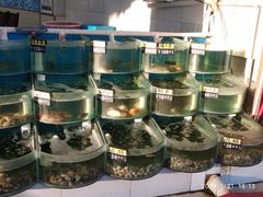 自助取餐区-烁佳海鲜大馅饺子
