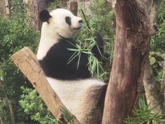 -宁波野生动物园