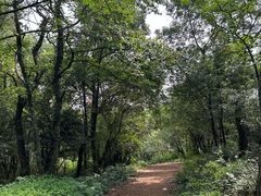 -虞山风景区