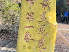 -江西龙虎山景区