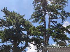 -圣莲山风景区