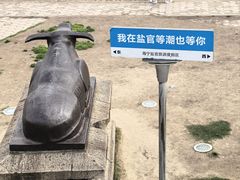 -观潮胜地公园