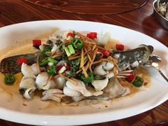 -顺德了能馆(虎门店)