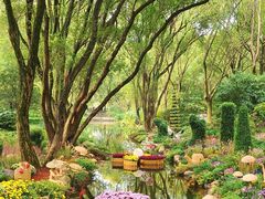 -上海共青森林公园