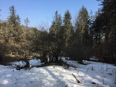 -硗碛藏寨·神木垒景区