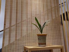 景观位-枣子树·素食餐厅(普陀山店)