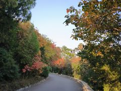 -千佛山风景名胜区