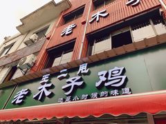 门面-王二甩老木子鸡(江湾店)