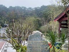 -国恩寺
