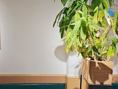 -米国现煲煲仔饭(塔子湖店)